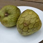 Image result for Annona Fruit
