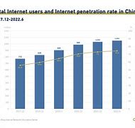 Image result for Chinese Internet Users