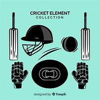 Image result for Cricket Elements Stickers