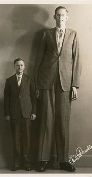Image result for World Tallest Human