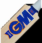 Image result for GM Cricket Bat Orange