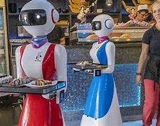 Image result for Assistant Waiter Robot