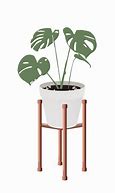 Image result for Horticulture Interior Pot