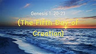 Image result for Genesis 1:20-23