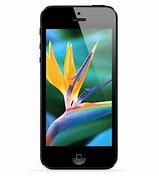 Image result for iPhone 5 Model A1428 GB