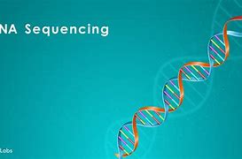 Image result for A Gene Is