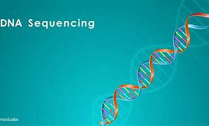 Image result for Unlock Your Nephilem Genes