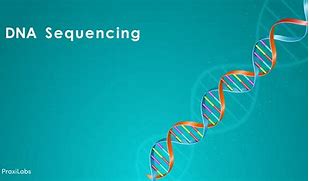 Image result for Gene Sequencing