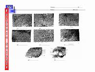 Image result for Fingerprint Lab Worksheet