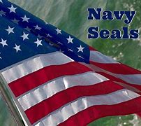 Image result for US Navy Seals Flag
