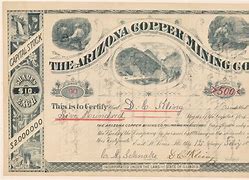 Image result for Arizona. Company Certificate