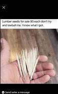 Image result for Lumber Seeds Meme