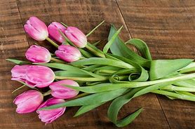 Image result for Bunch of Flowers with Stems