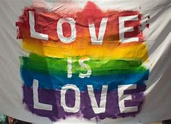 Image result for LGBT Design T-Shirts Stripes