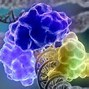 Image result for Telomere Theory of Aging