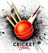 Image result for Hit Wicket Cricket