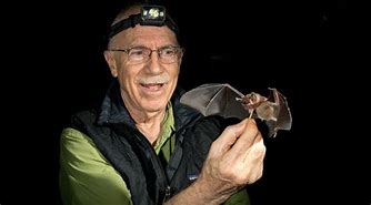 Image result for Bats Feeding