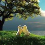 Image result for Cute Things in Nature