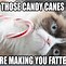 Image result for Cat across the Table Meme
