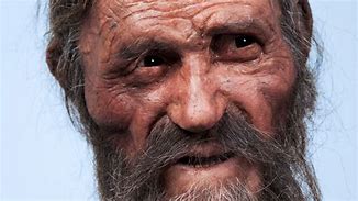 Image result for Otzi The Iceman