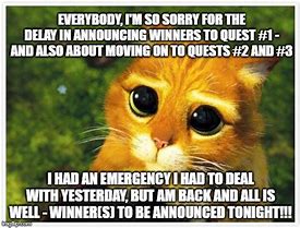 Image result for Sorry for the Delay Cat Meme