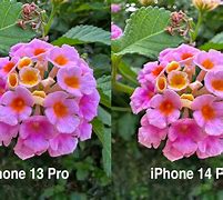Image result for iPhone 14 Series Model