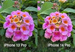 Image result for iPhone 14 Piture Sample