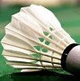 Image result for Badminton Racket Labeled
