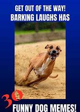 Image result for Awesome Dog Funny Meme