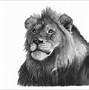Image result for Wildlife Paintings Gallery