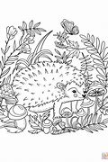 Image result for Hedgehog Growth