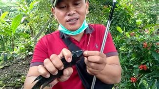 Image result for Harga Peralatan Pancing