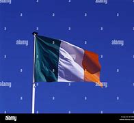 Image result for Ireland Flag Real