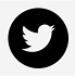 Image result for White Twitter Logo Vector