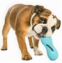Image result for Dog Treats Toy
