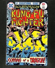 Image result for Richard Dragon Kung Fu Fighter