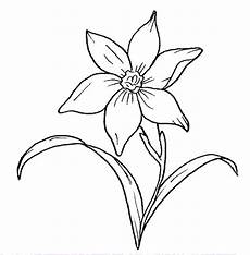fiori da disegnare dibujos para colorear maestra de infantil y primaria fiori da disegnare dibujos para colorear maestra de infantil y primaria