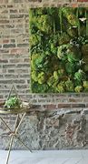 Image result for DIY Plans for Interior Moss Wall