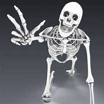 Image result for Skeleton High Resolution 4K