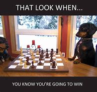 Image result for Funny Chess Openings