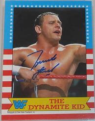 Image result for WWF Wrestling Cards Pack