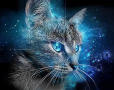 Image result for Cute Magical Cat