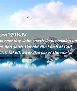 Image result for John 1:29 KJV