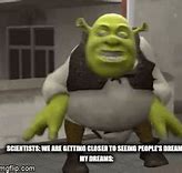 Image result for Baddie Shrek Meme