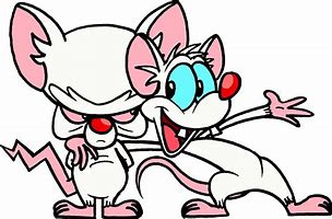 Image result for Pinky and the Brain Color