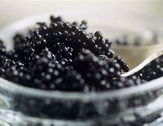 Image result for caviar