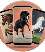 Image result for Bing Wallpaper Horses