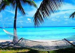 Image result for Windows 10 Free Summer Screensavers