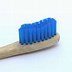 Image result for Manual Toothbrush