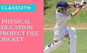 Image result for Project On Cricket for Class 2